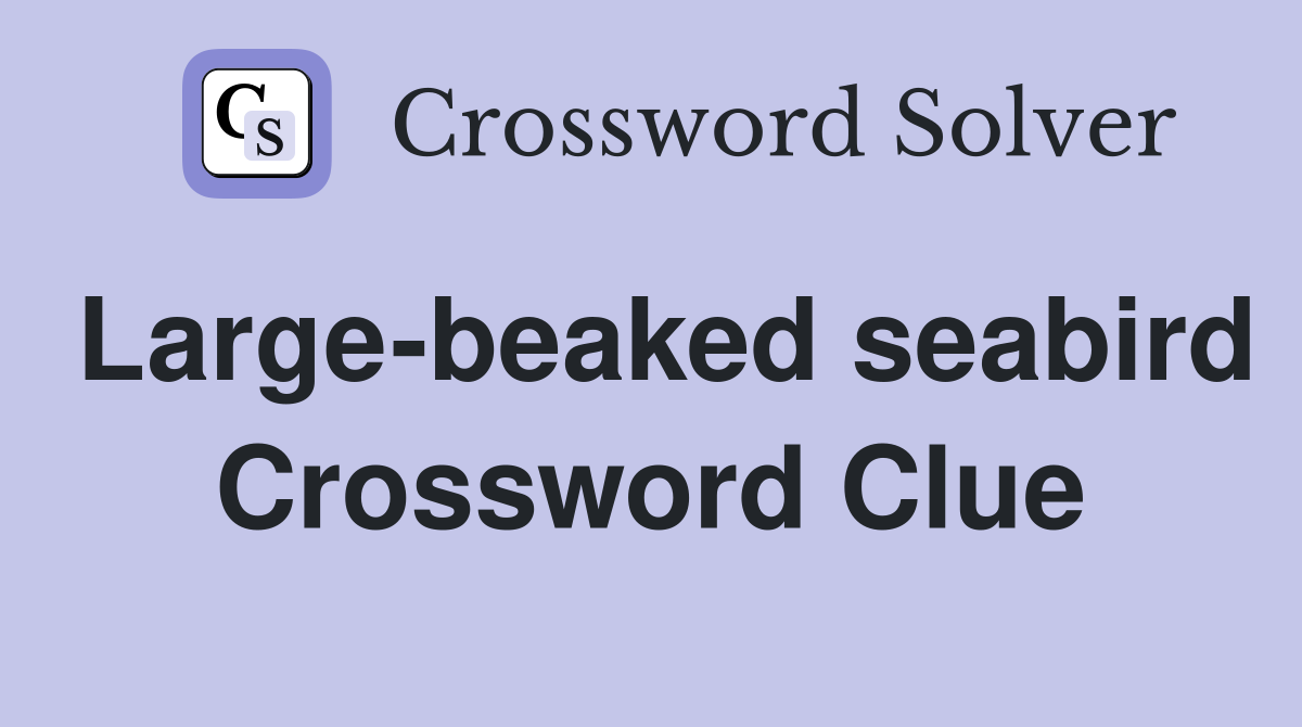 Large-beaked seabird Crossword Clue