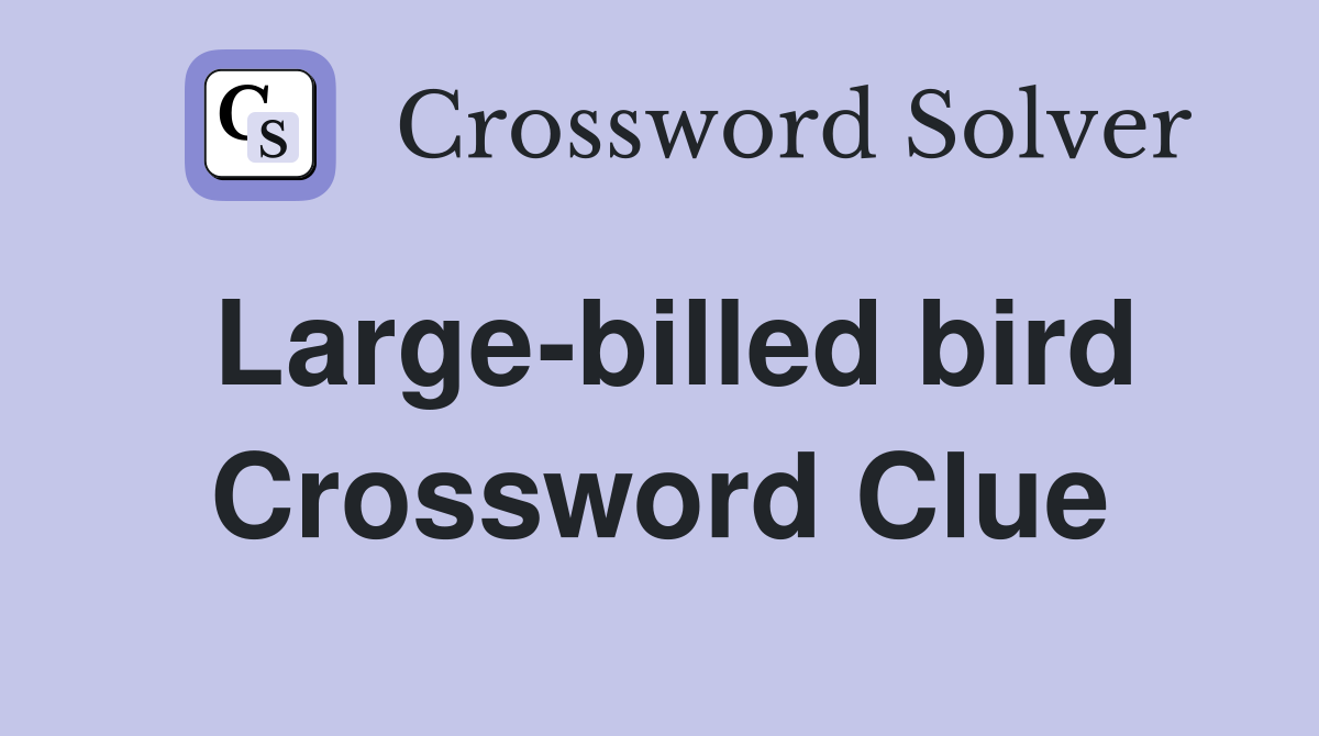 Large-billed bird Crossword Clue