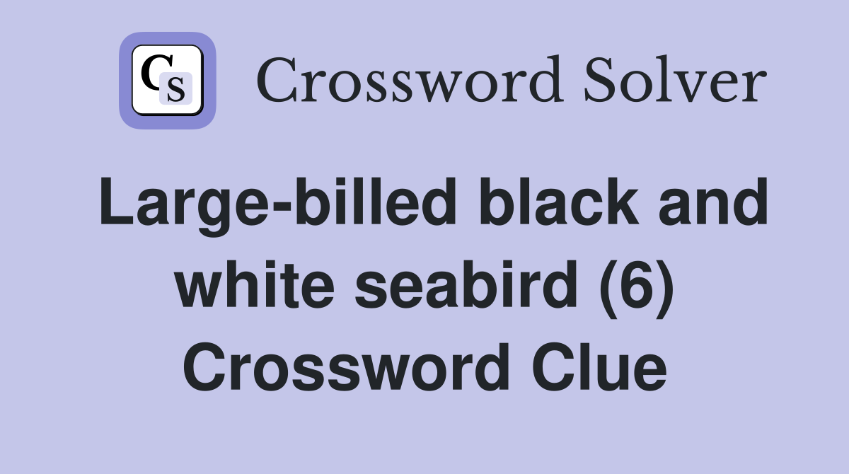 Large-billed black and white seabird (6) Crossword Clue