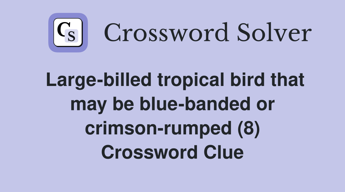 Large-billed tropical bird that may be blue-banded or crimson-rumped (8) Crossword Clue