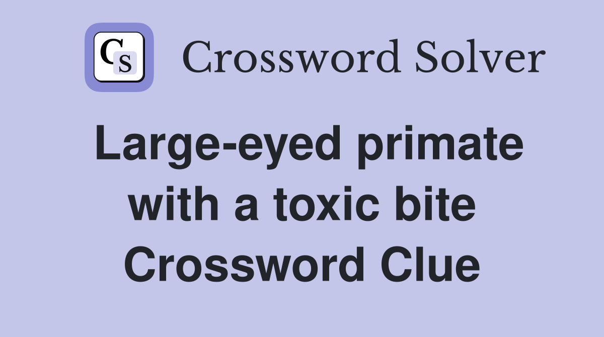 Large-eyed primate with a toxic bite Crossword Clue