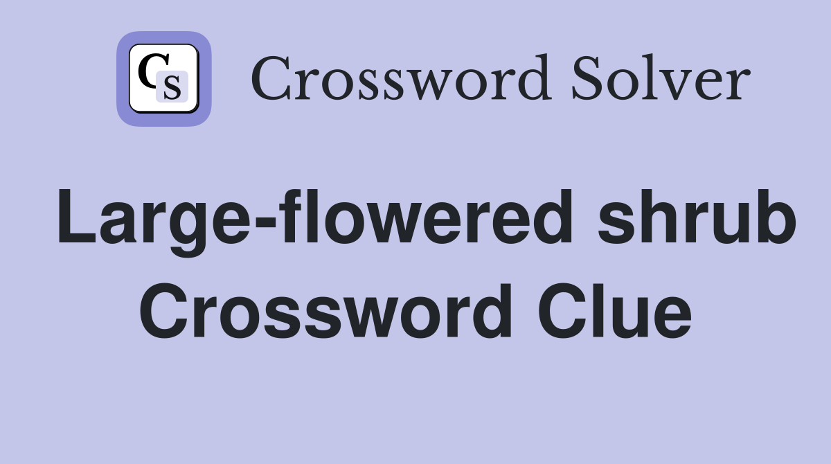 Large-flowered shrub Crossword Clue