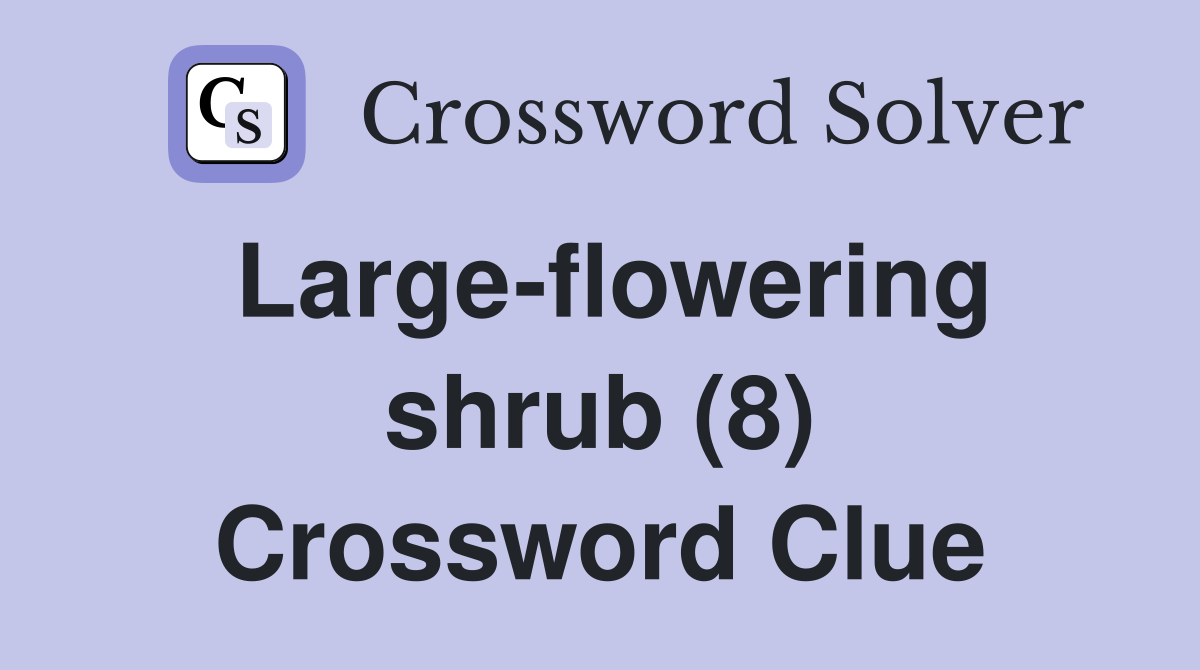 Large-flowering shrub (8) Crossword Clue