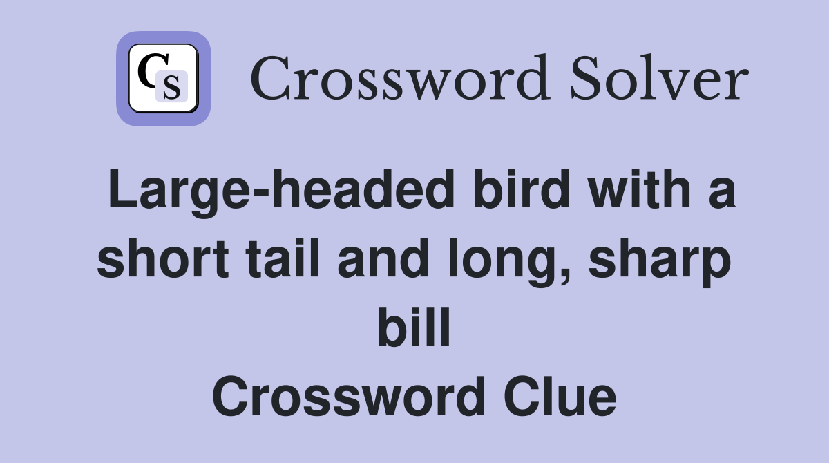 Large-headed bird with a short tail and long, sharp bill Crossword Clue