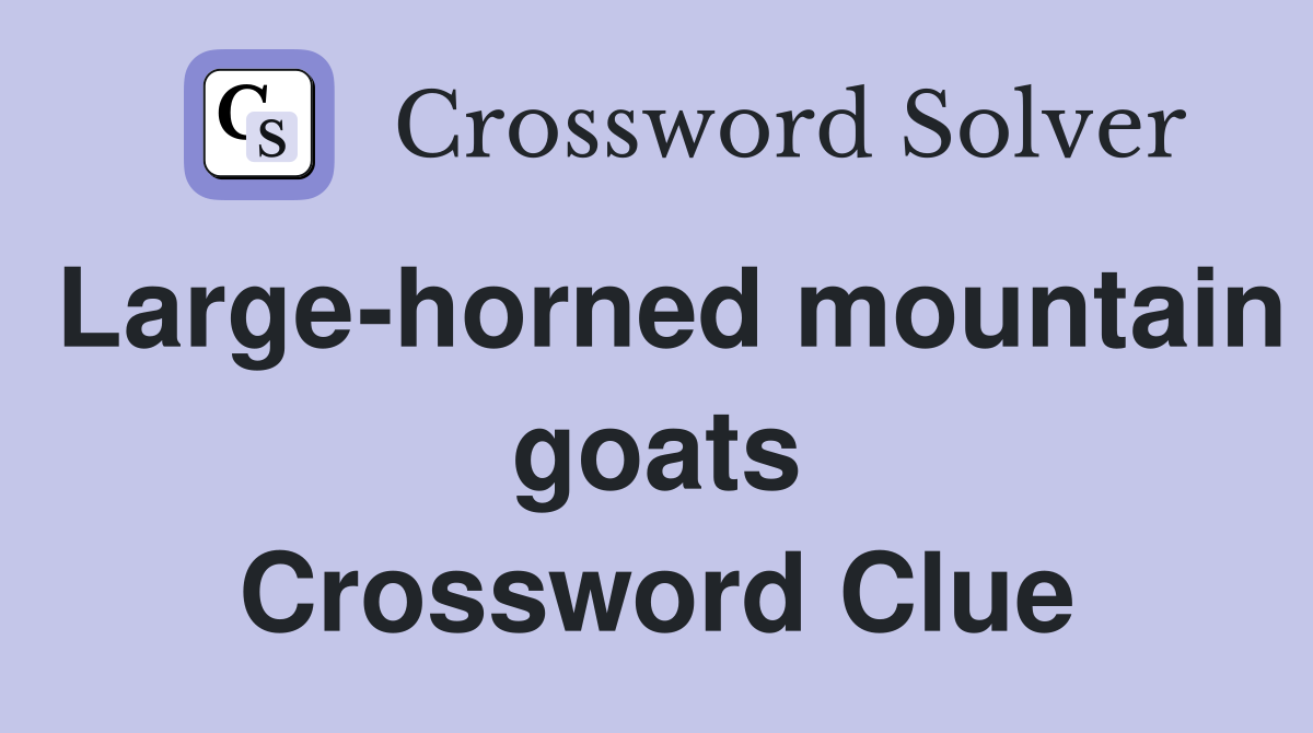 Large-horned mountain goats Crossword Clue