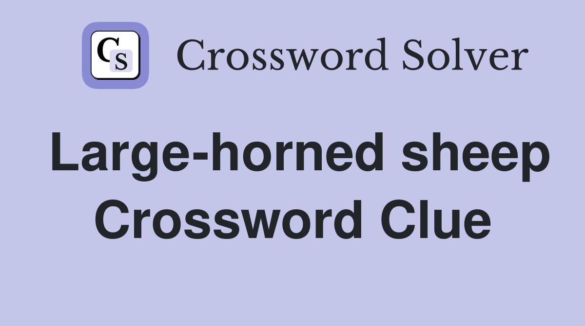 Large-horned sheep Crossword Clue