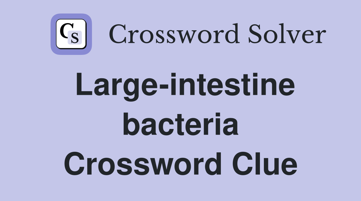 Large-intestine bacteria Crossword Clue