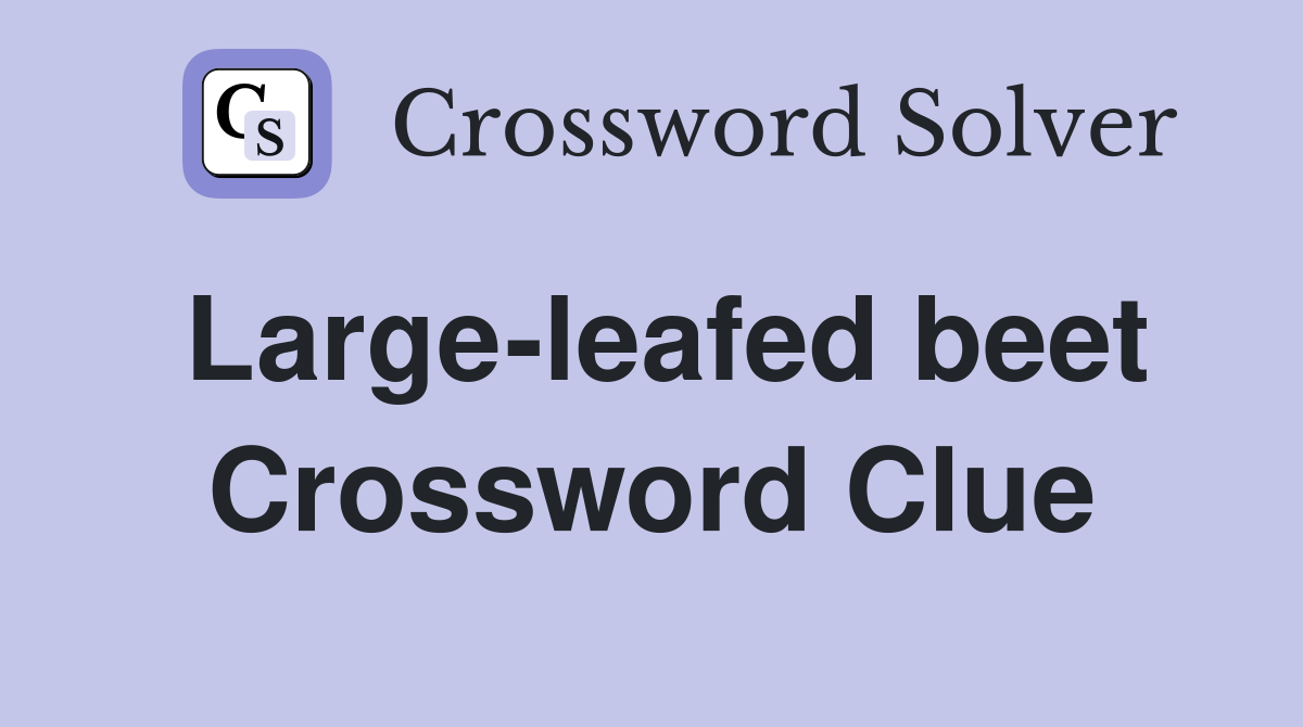 Large-leafed beet Crossword Clue