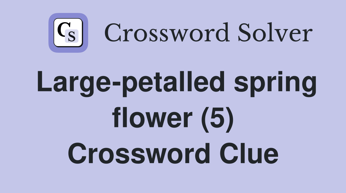 Large-petalled spring flower (5) Crossword Clue