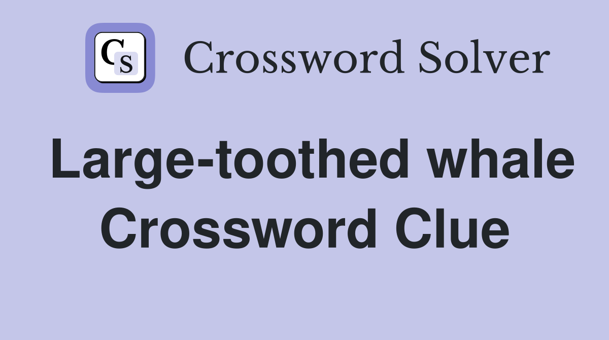 Large-toothed whale Crossword Clue
