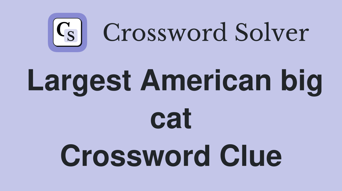 Largest American big cat Crossword Clue
