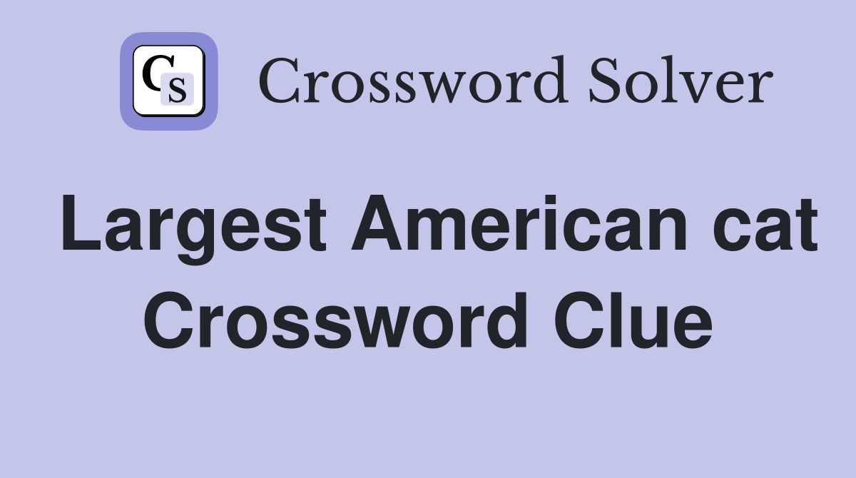 Largest American cat Crossword Clue