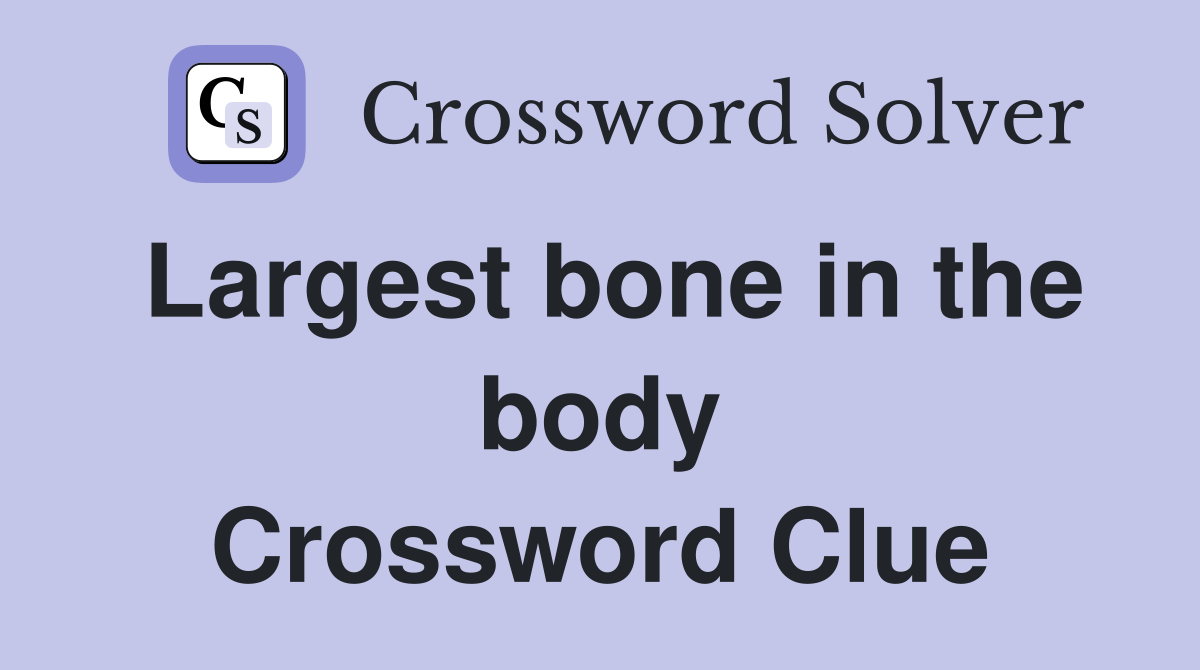 Largest bone in the body Crossword Clue