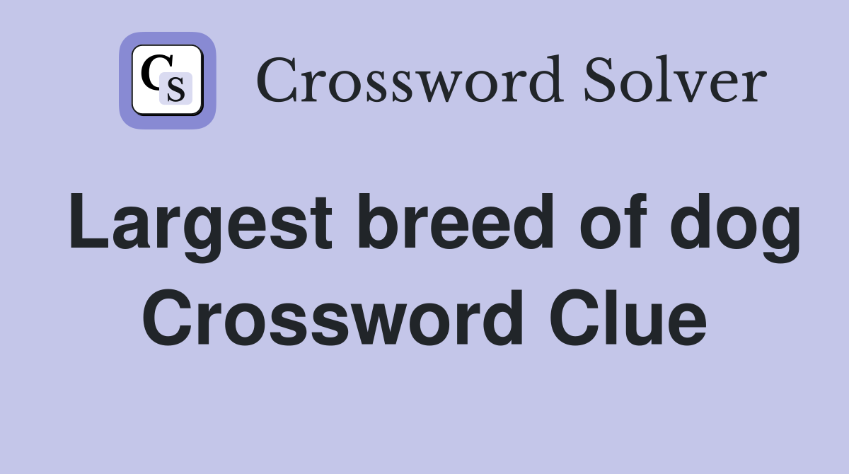 Largest breed of dog Crossword Clue