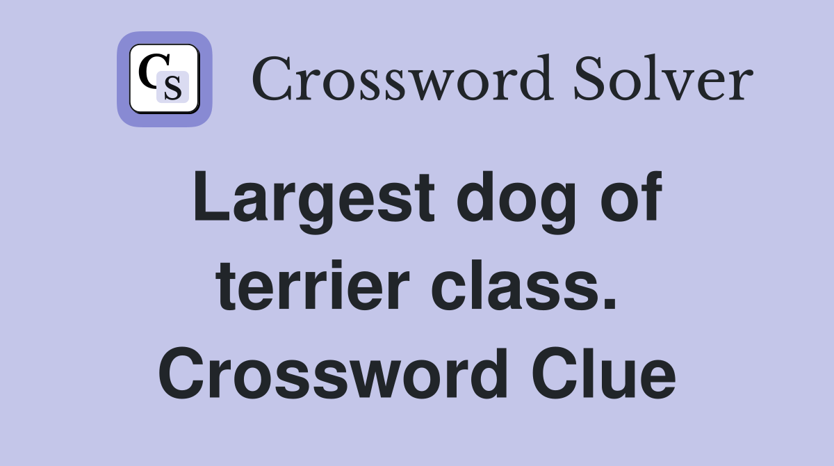Largest dog of terrier class. Crossword Clue