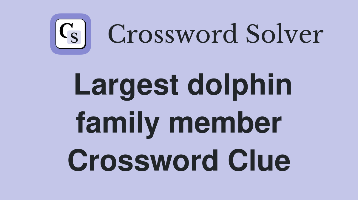Largest dolphin family member Crossword Clue