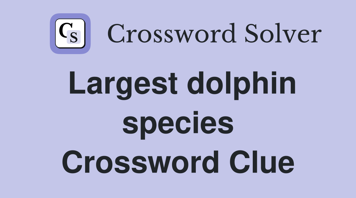 Largest dolphin species Crossword Clue