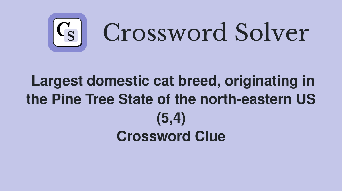 Largest domestic cat breed, originating in the Pine Tree State of the north-eastern US (5,4) Crossword Clue