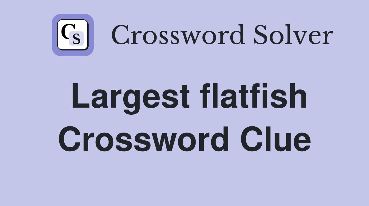 Largest flatfish Crossword Clue