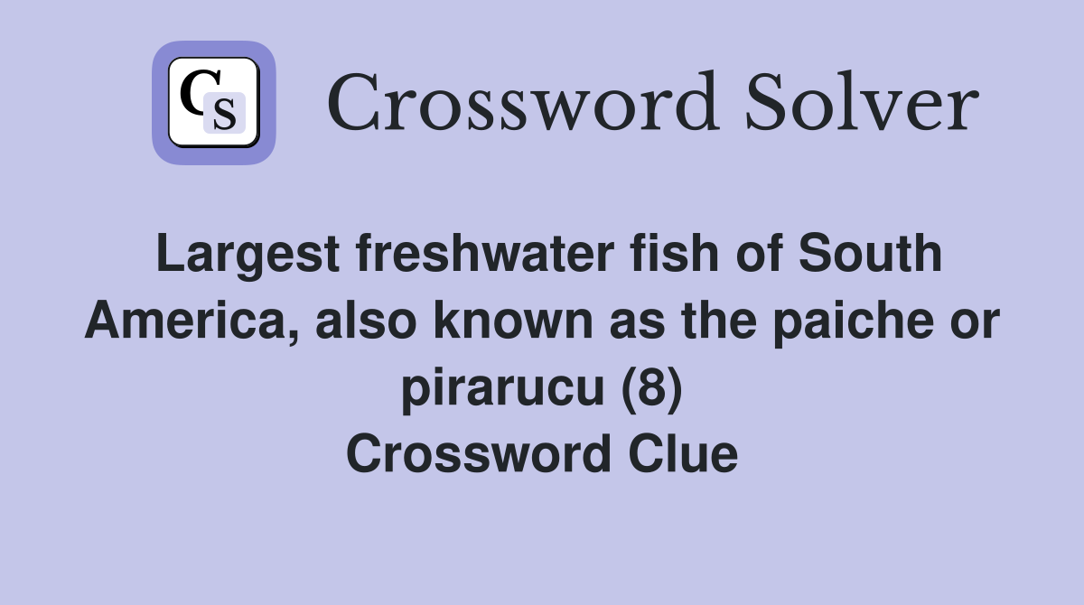 Largest freshwater fish of South America, also known as the paiche or pirarucu (8) Crossword Clue