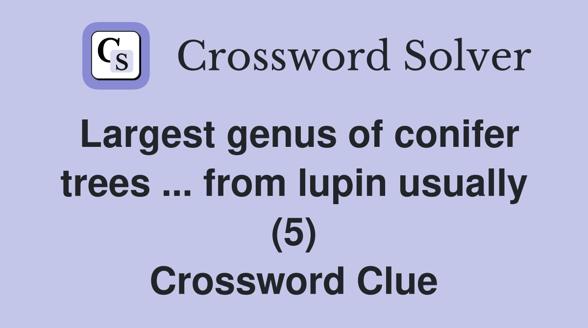 Largest genus of conifer trees ... from lupin usually (5) Crossword Clue