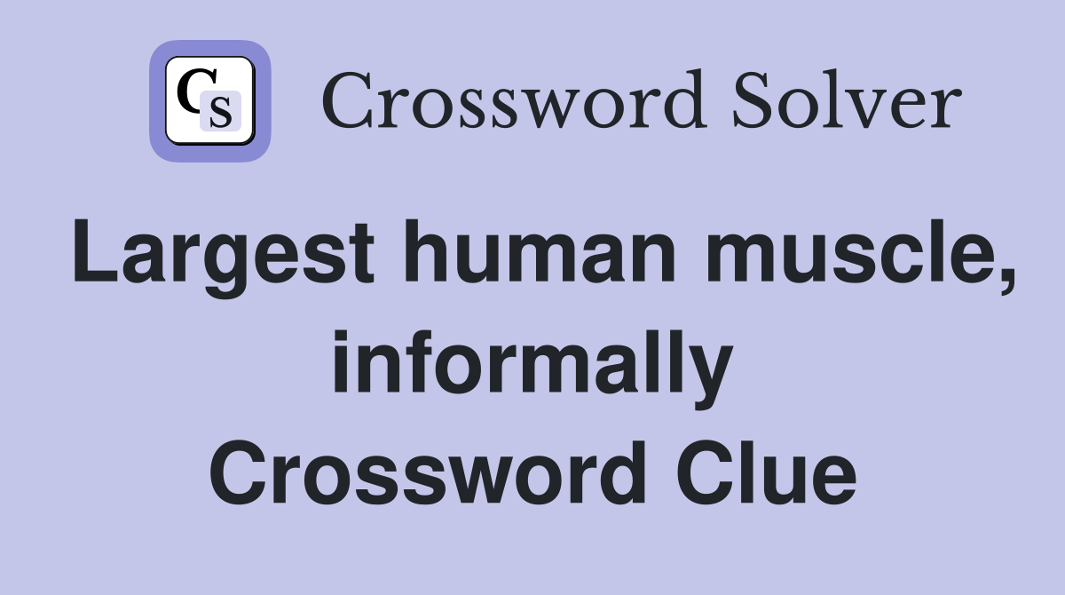 Largest human muscle, informally Crossword Clue