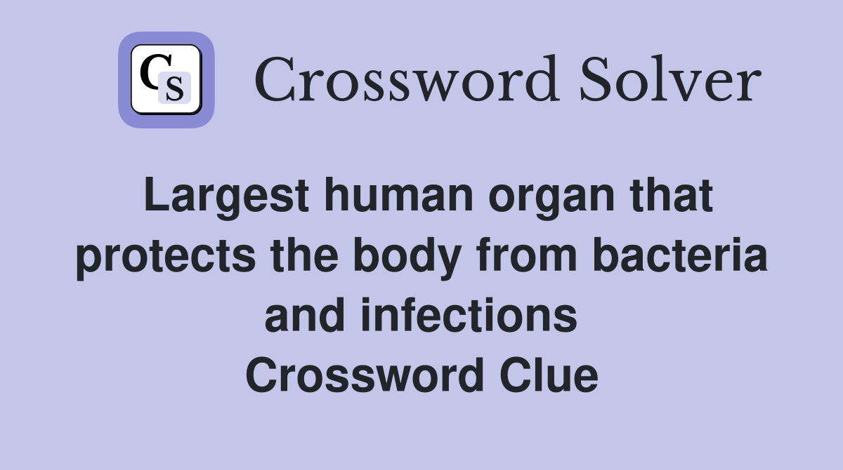 Largest human organ that protects the body from bacteria and infections Crossword Clue