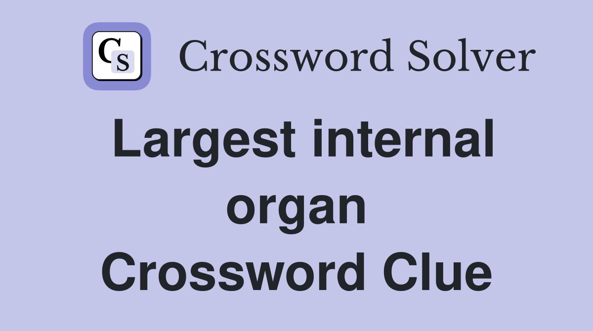 Largest internal organ Crossword Clue