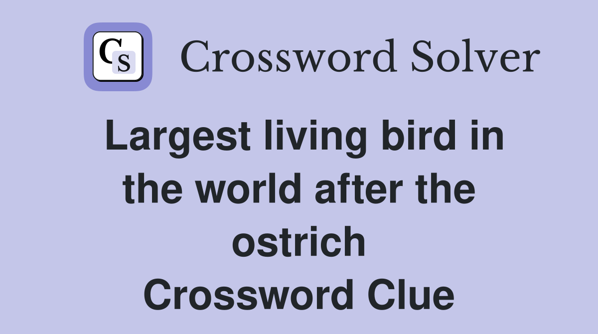 Largest living bird in the world after the ostrich Crossword Clue