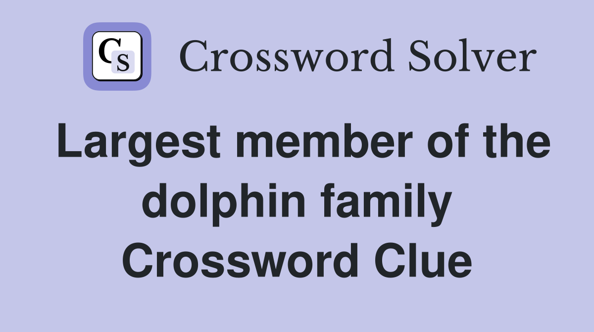 Largest member of the dolphin family Crossword Clue