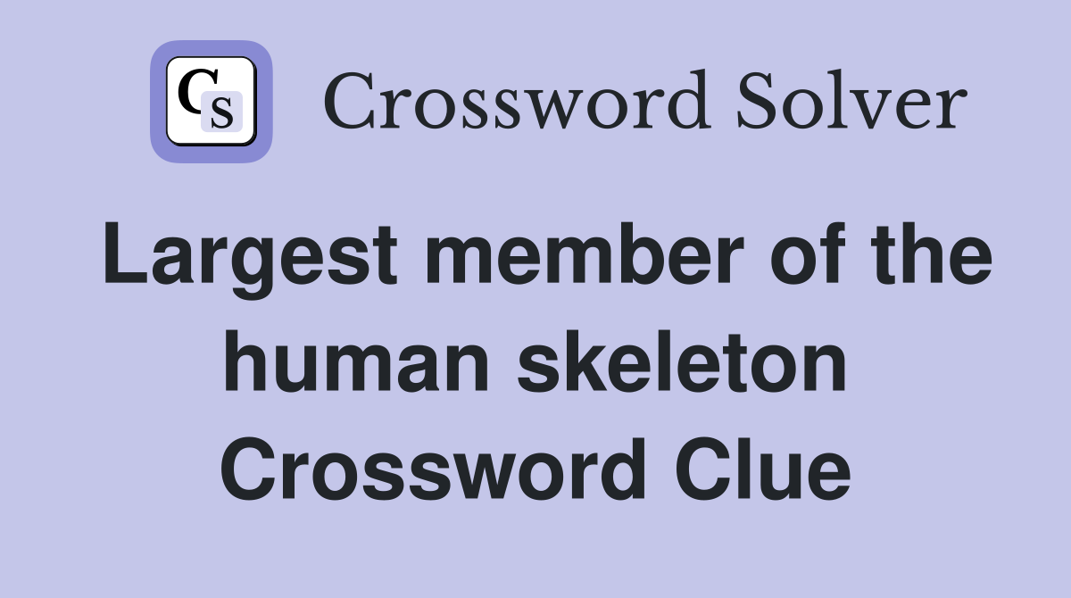 Largest member of the human skeleton Crossword Clue