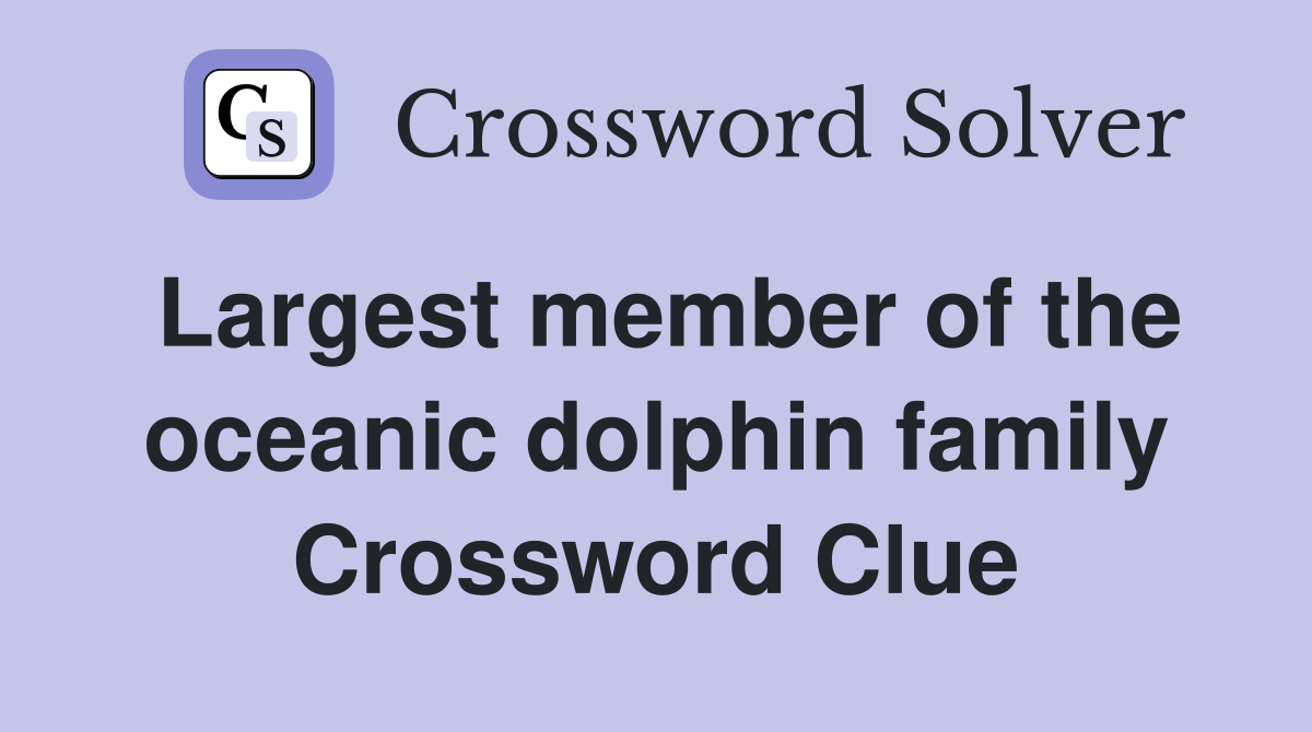 Largest member of the oceanic dolphin family Crossword Clue