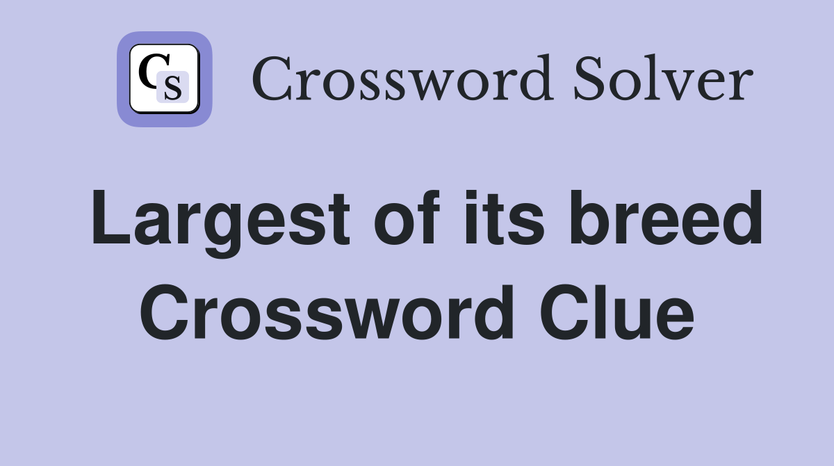 Largest of its breed Crossword Clue