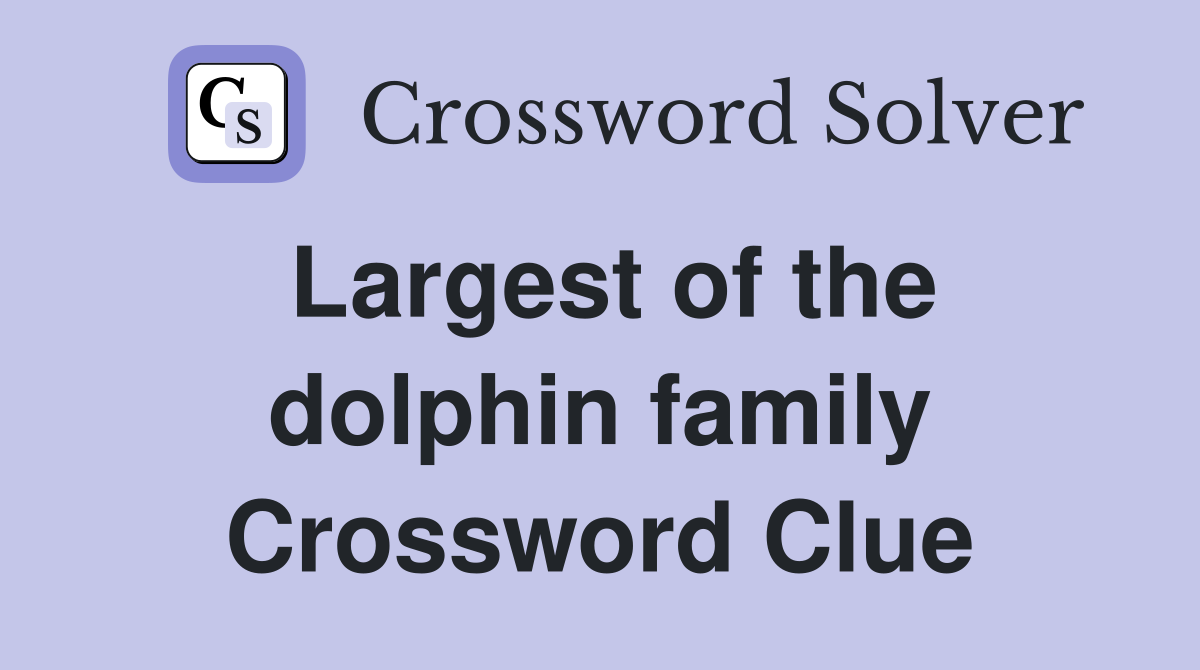 Largest of the dolphin family Crossword Clue