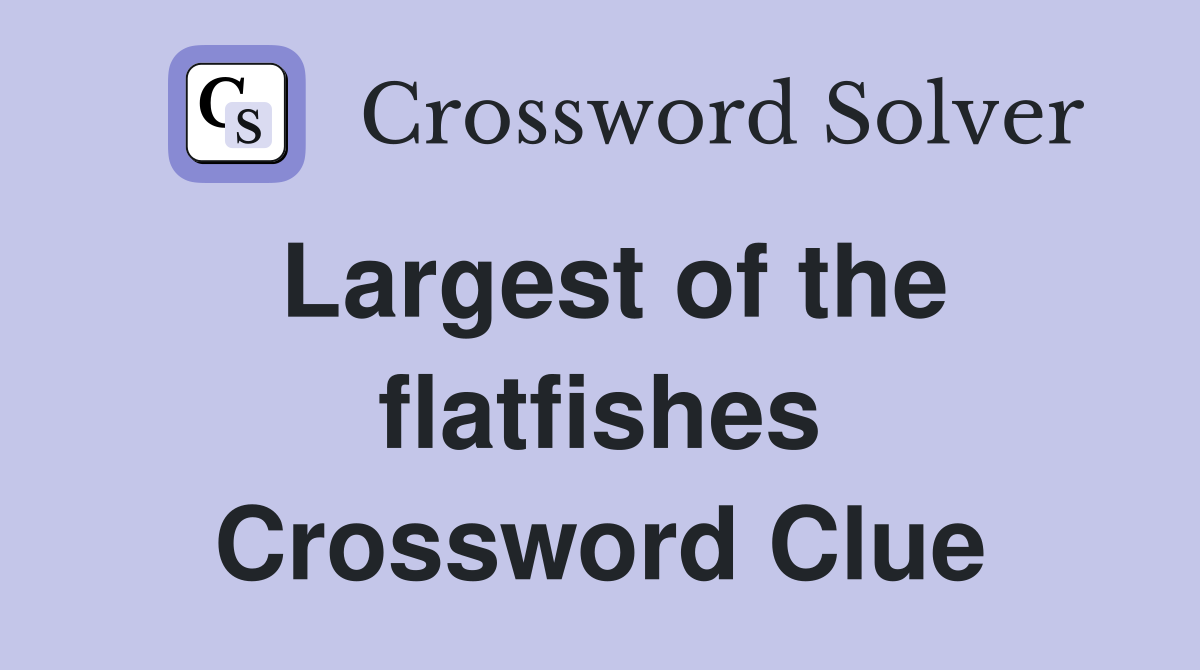 Largest of the flatfishes Crossword Clue