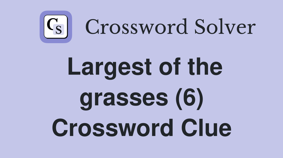 Largest of the grasses (6) Crossword Clue