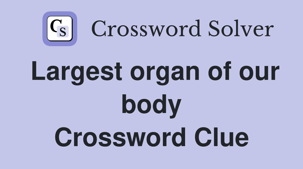 Largest organ of our body Crossword Clue