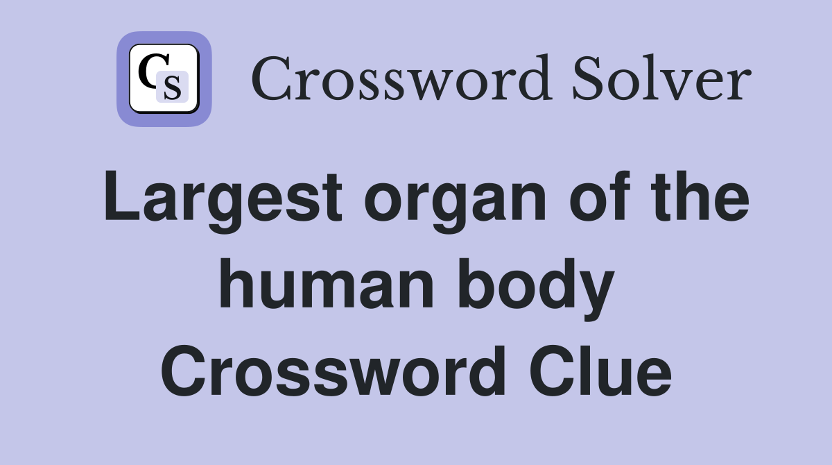 Largest organ of the human body Crossword Clue