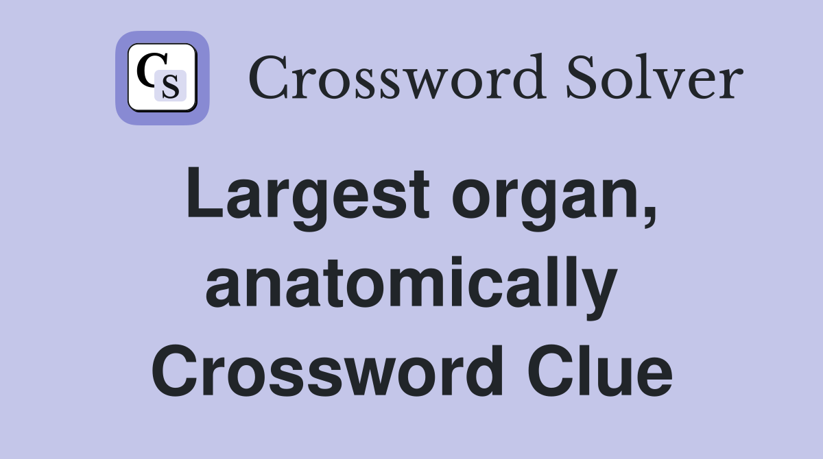 Largest organ, anatomically Crossword Clue