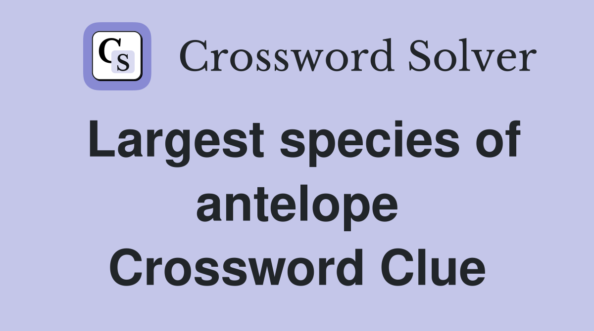 Largest species of antelope Crossword Clue