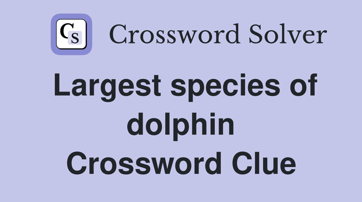 Largest species of dolphin Crossword Clue