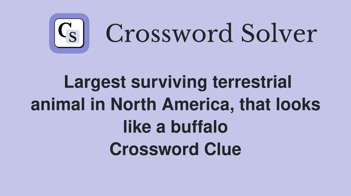 Largest surviving terrestrial animal in North America, that looks like a buffalo Crossword Clue