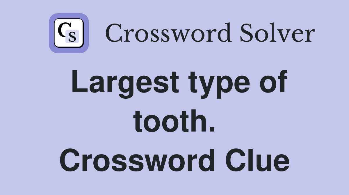 Largest type of tooth. Crossword Clue