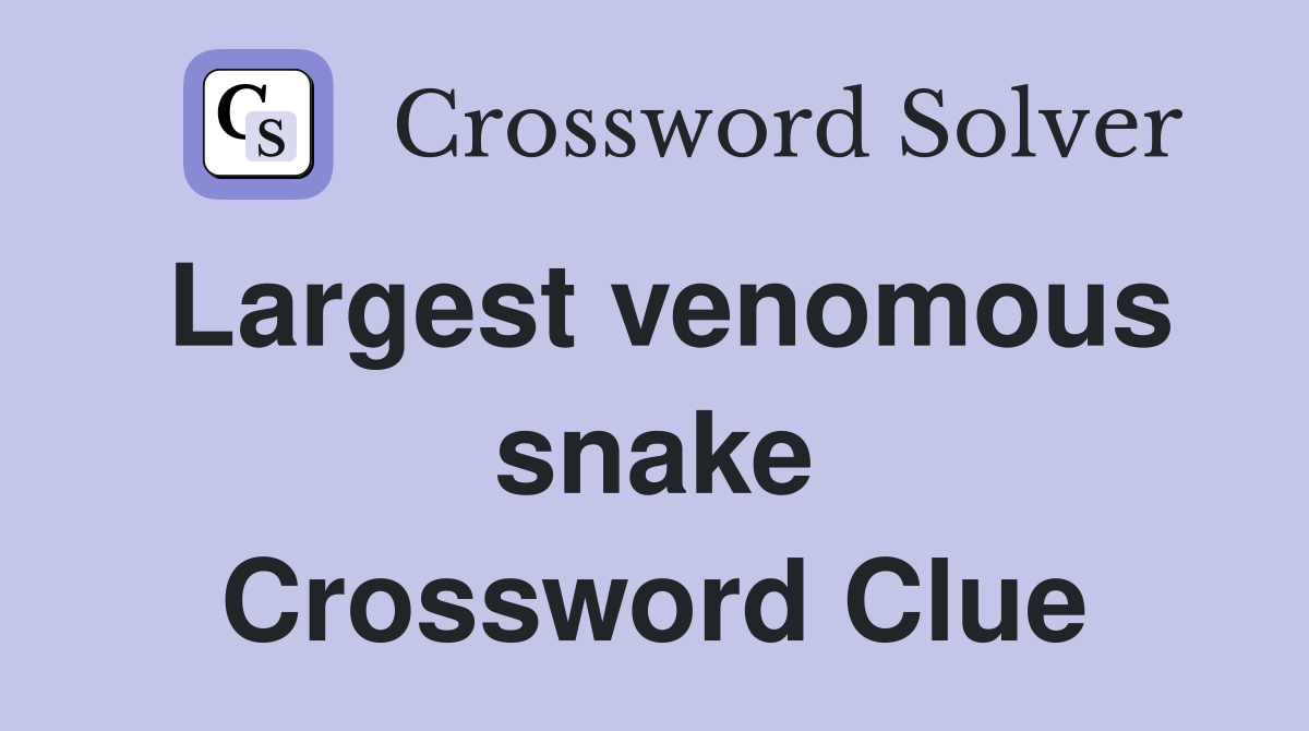 Largest venomous snake Crossword Clue