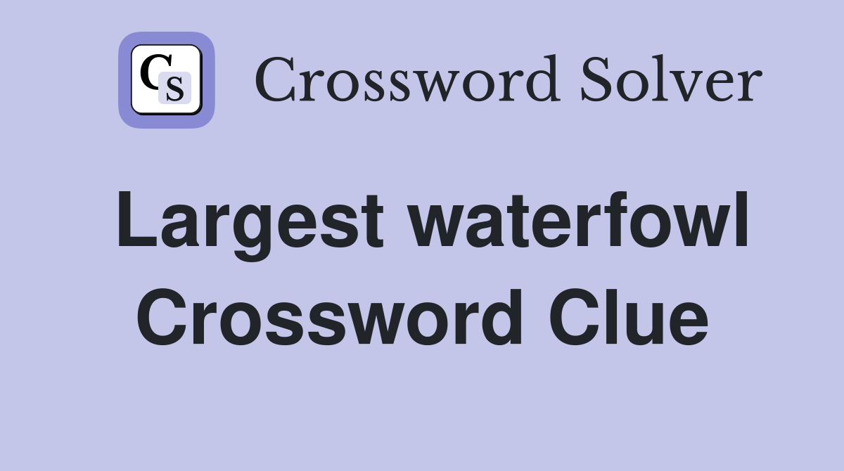 Largest waterfowl Crossword Clue