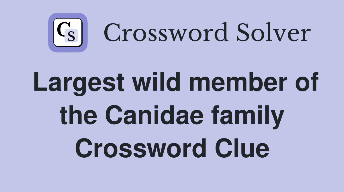 Largest wild member of the Canidae family Crossword Clue