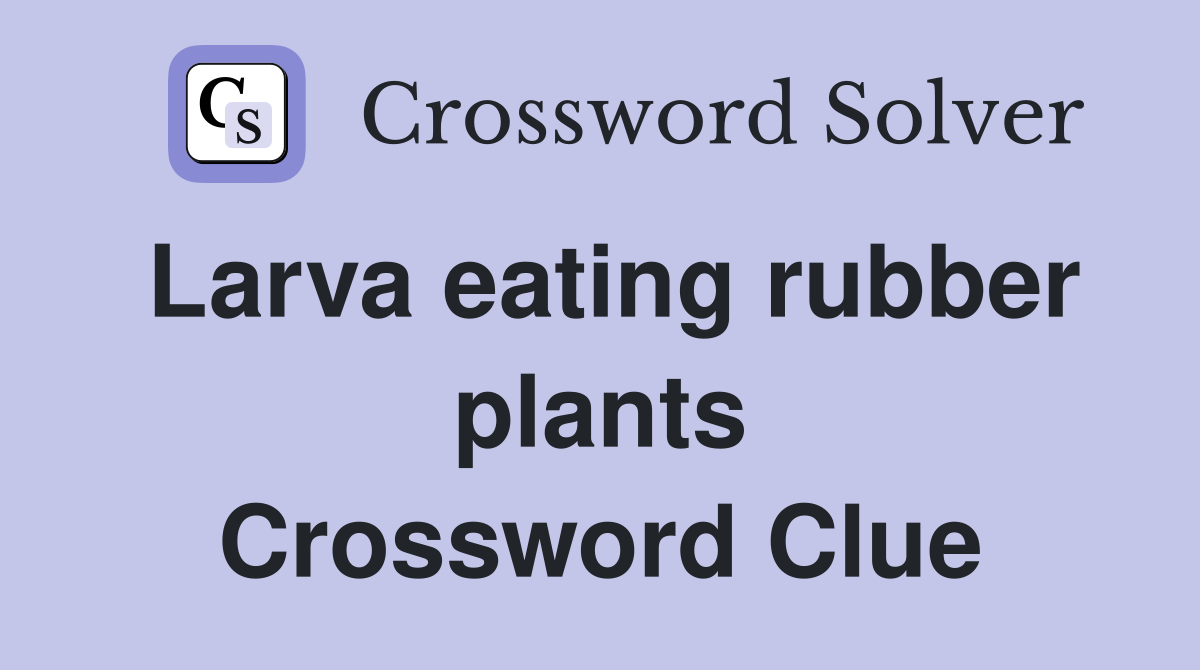 Larva eating rubber plants Crossword Clue