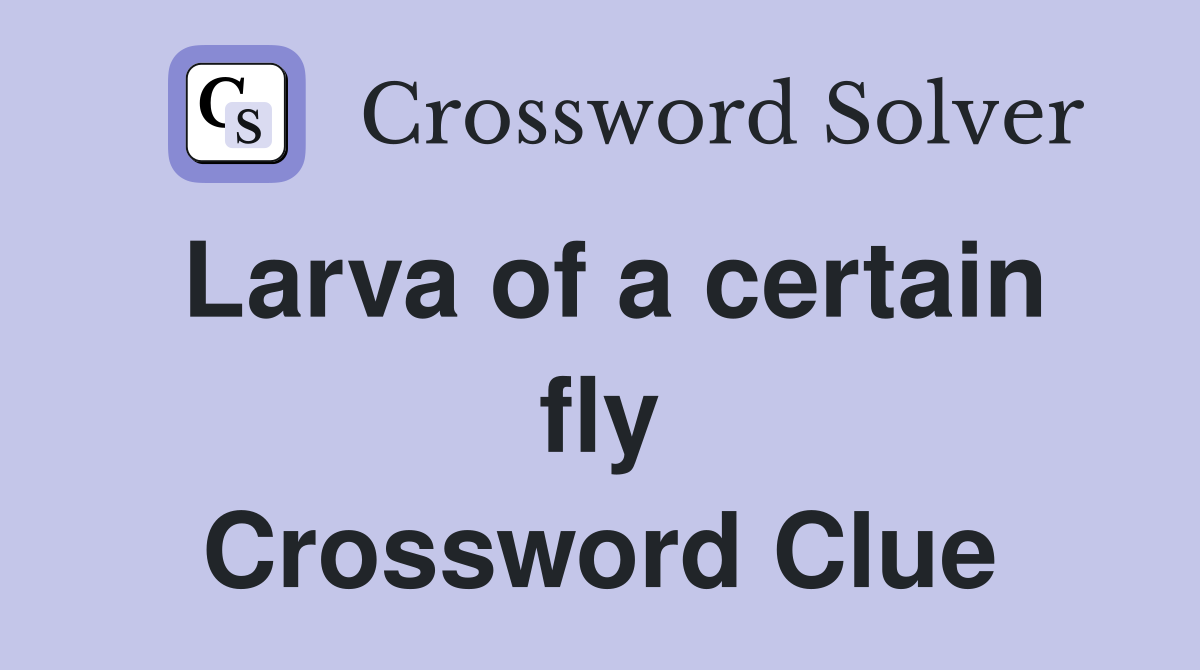 Larva of a certain fly Crossword Clue