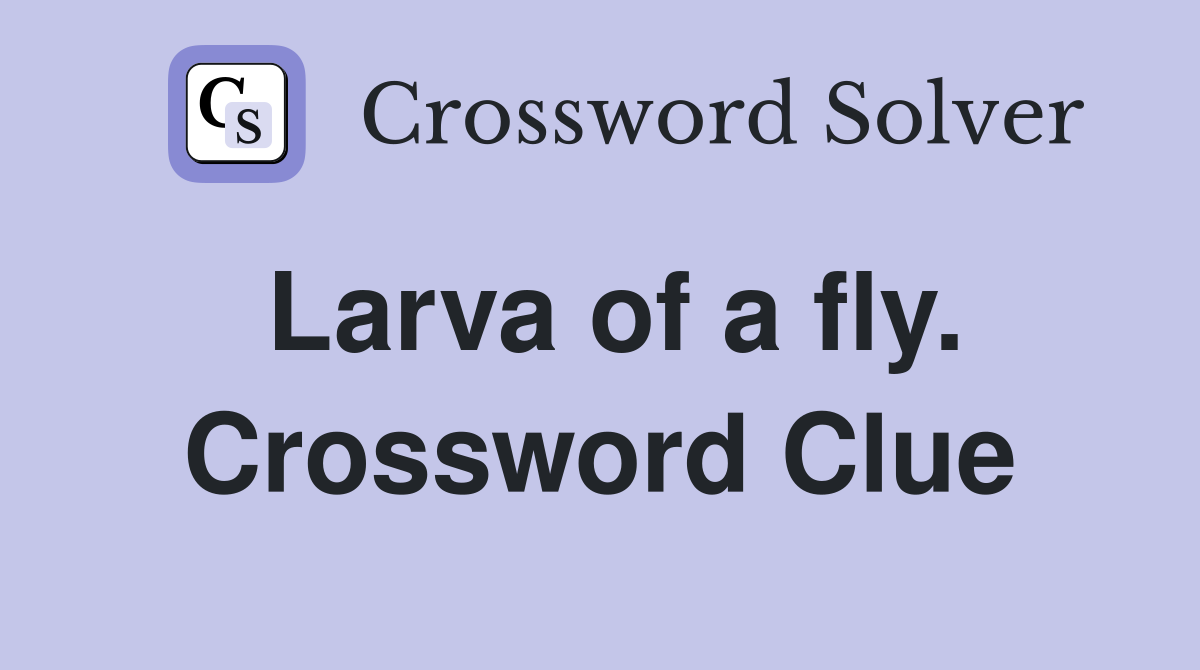 Larva of a fly. Crossword Clue