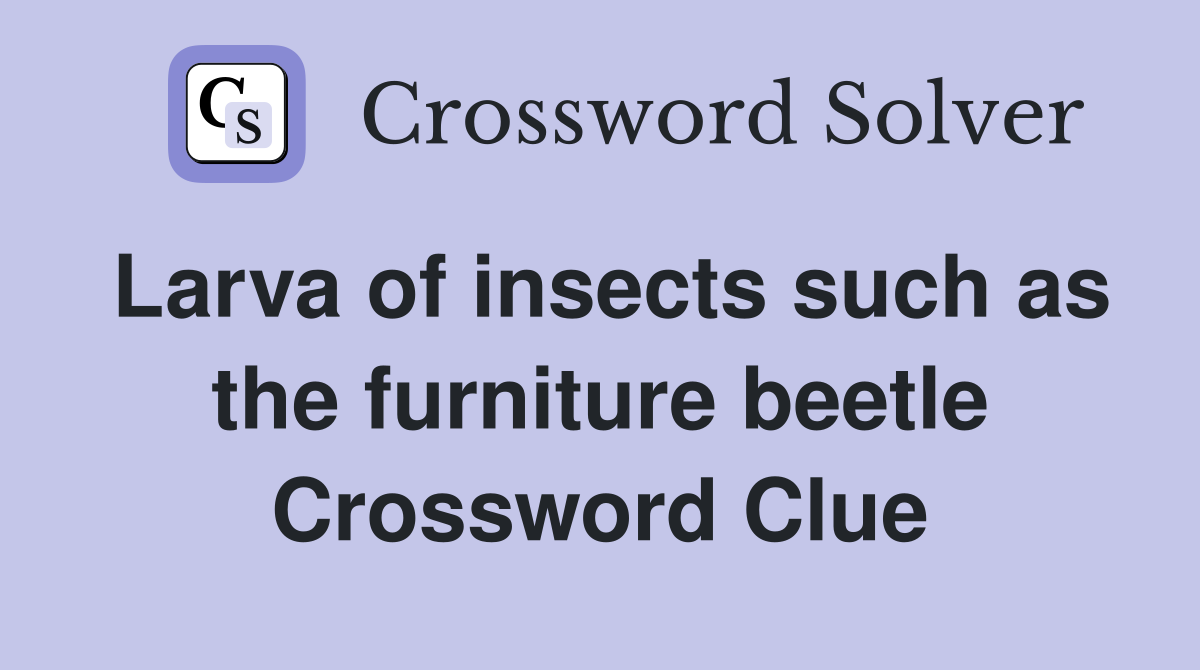 Larva of insects such as the furniture beetle Crossword Clue